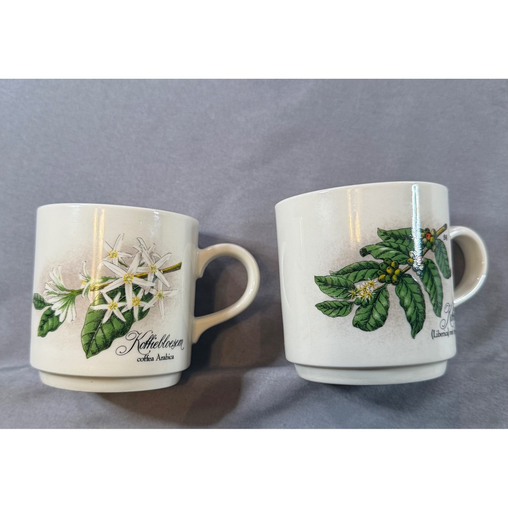 Villeroy & Boch Coffee Plant Botanical Mugs Set of 2 Koffiebloesem Koffietak